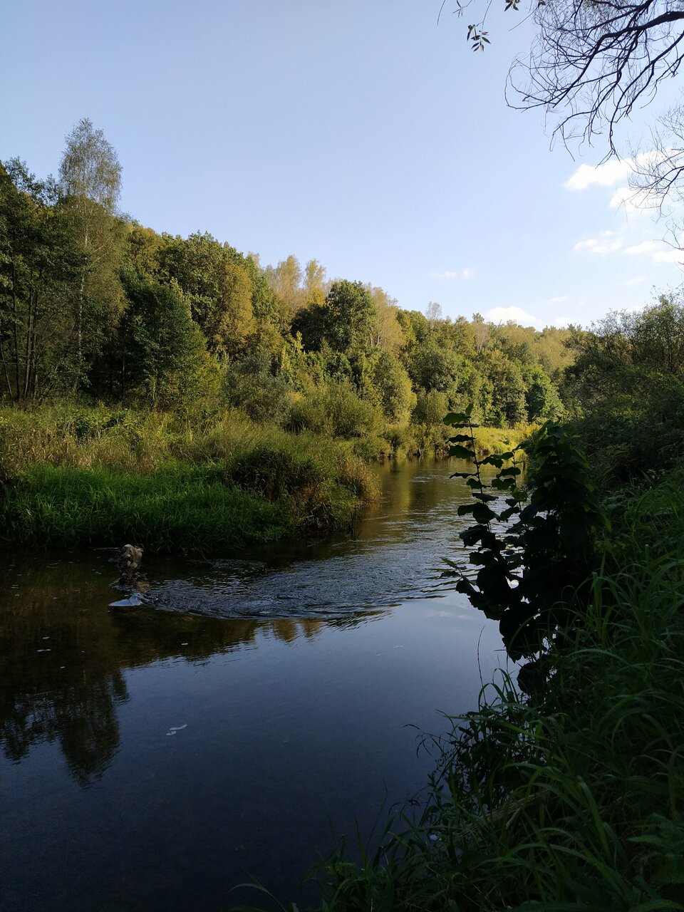 База отдыха Бобровый мыс Таруса-199