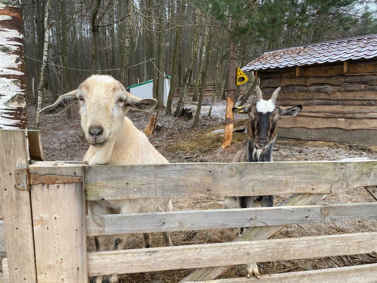 База отдыха Бобровый мыс Таруса-164