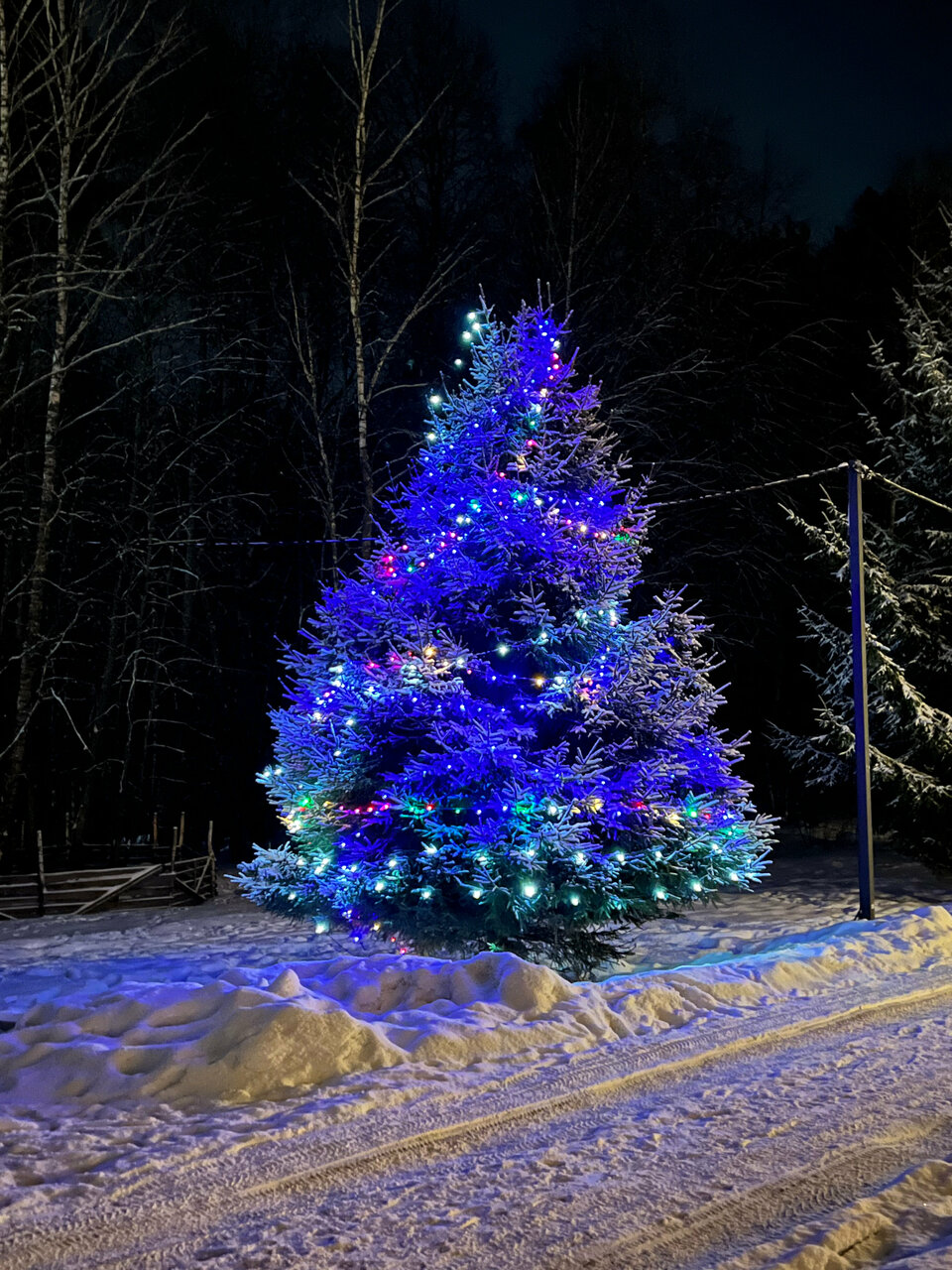 База отдыха Бобровый мыс Таруса-248