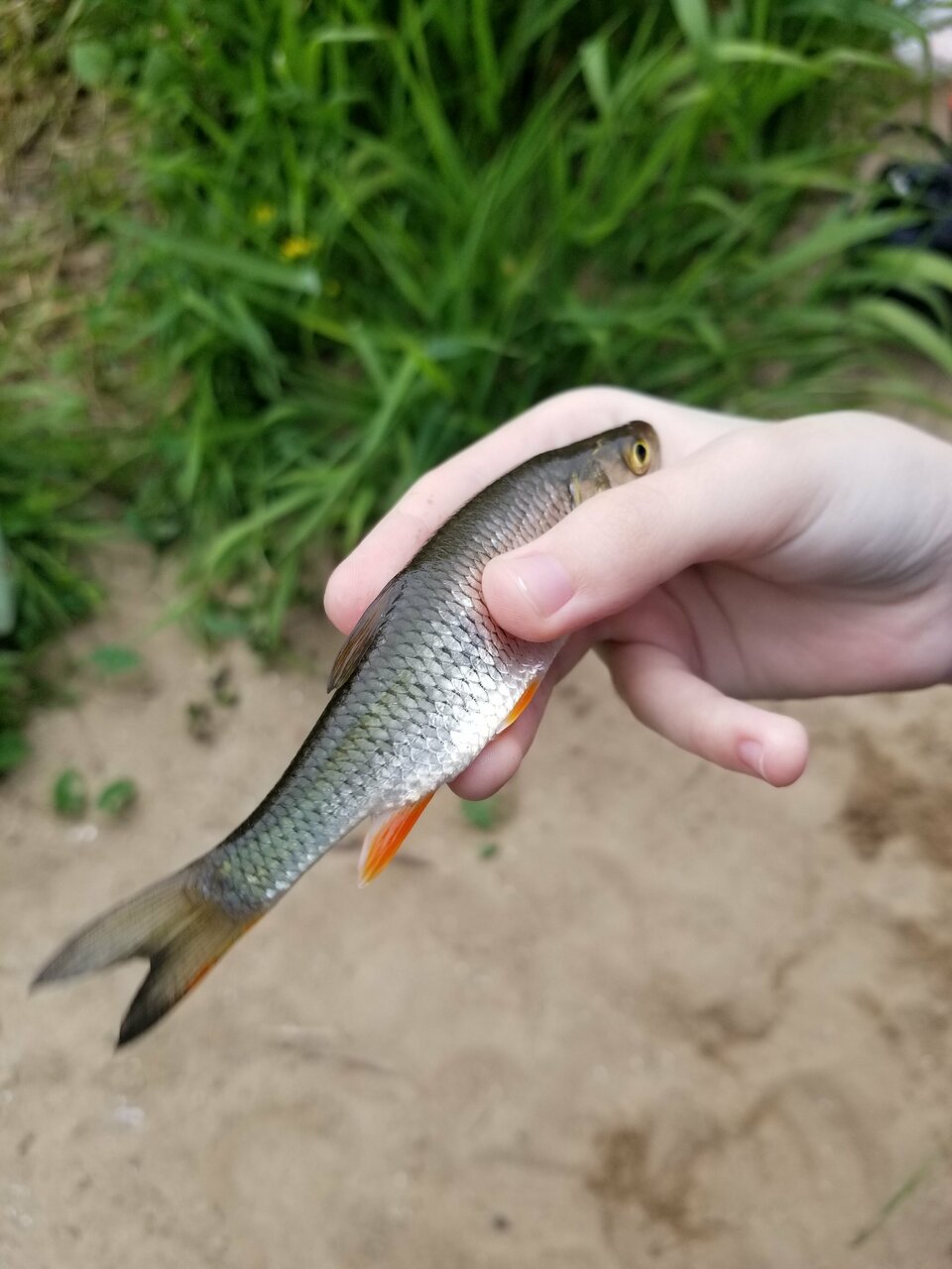 База отдыха Бобровый мыс Таруса-247