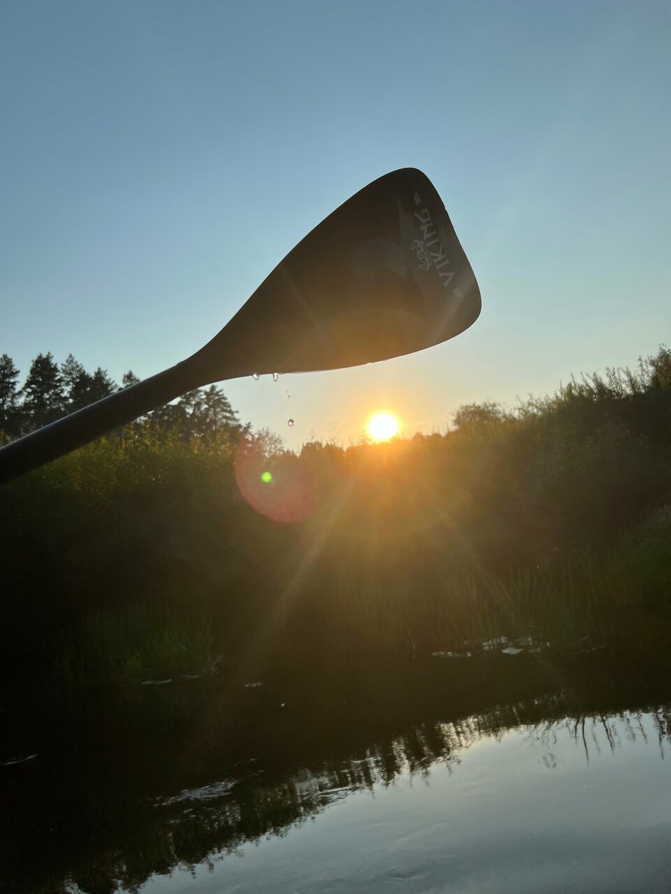 База отдыха Бобровый мыс Таруса-226