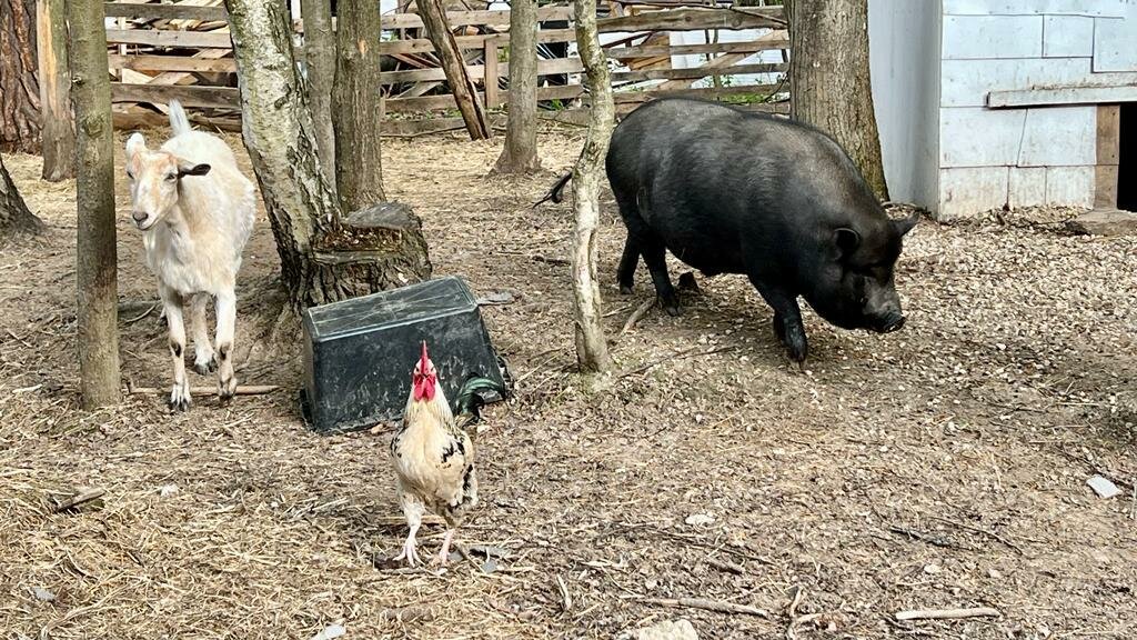 База отдыха Бобровый мыс Таруса-131