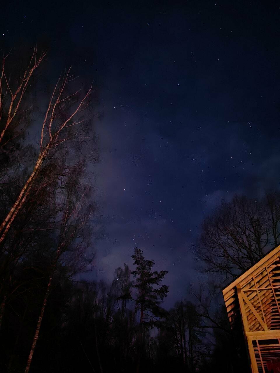 База отдыха Бобровый мыс Таруса-239