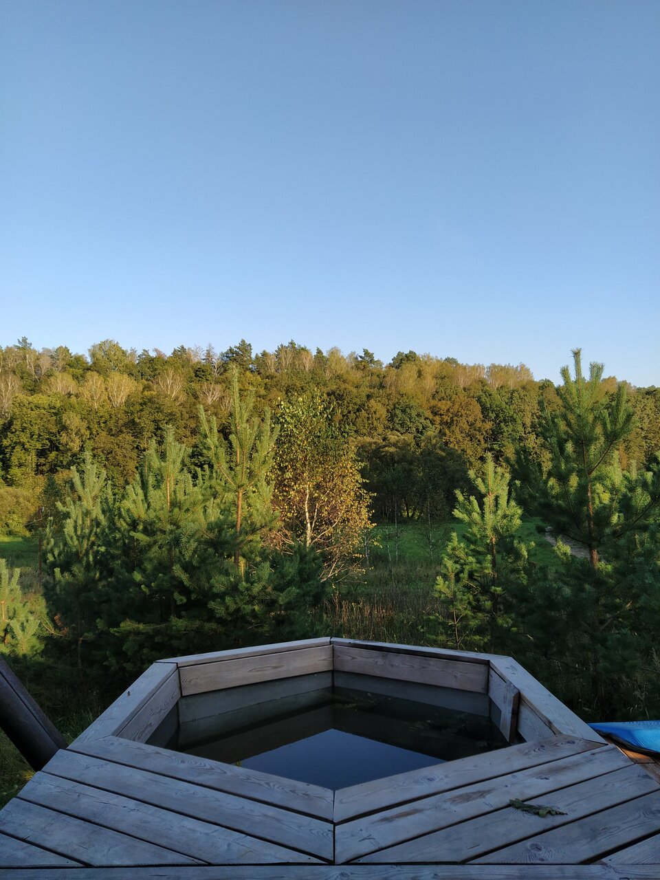 База отдыха Бобровый мыс Таруса-95