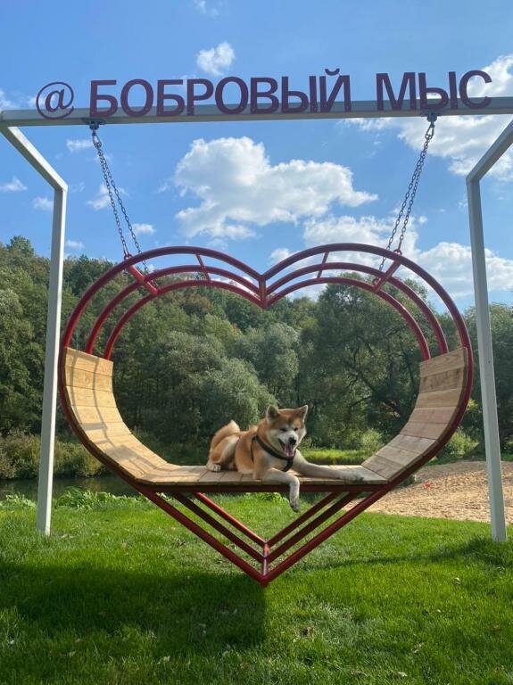 База отдыха Бобровый мыс Таруса-31