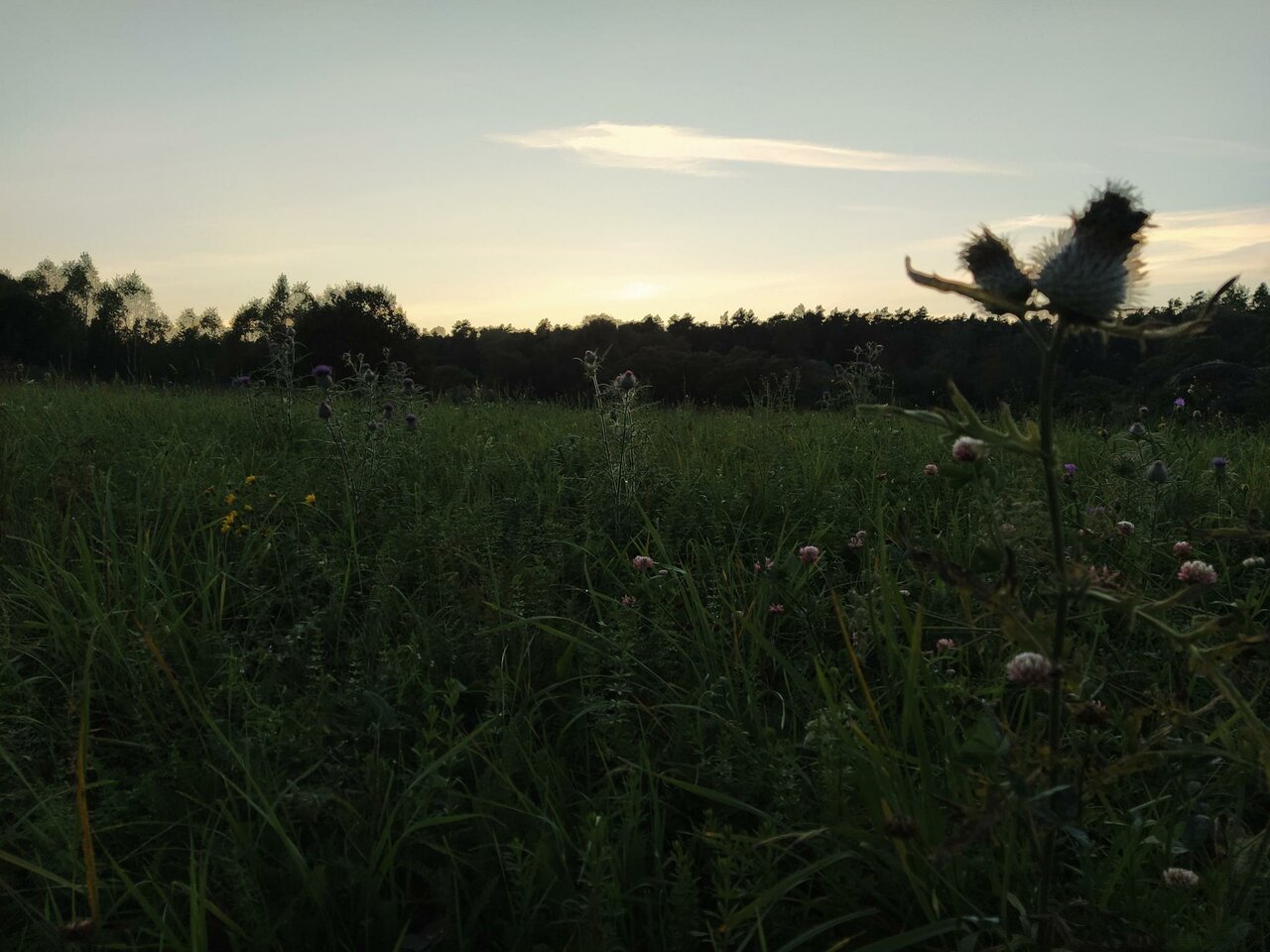 База отдыха Бобровый мыс Таруса-176