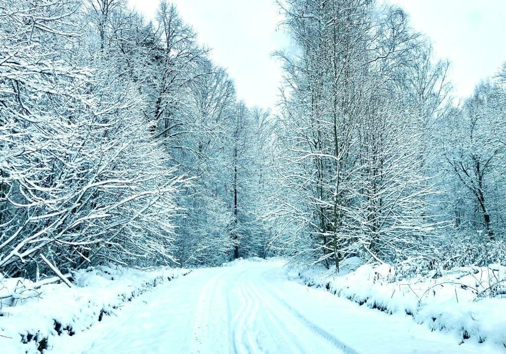 База отдыха Бобровый мыс Таруса-59