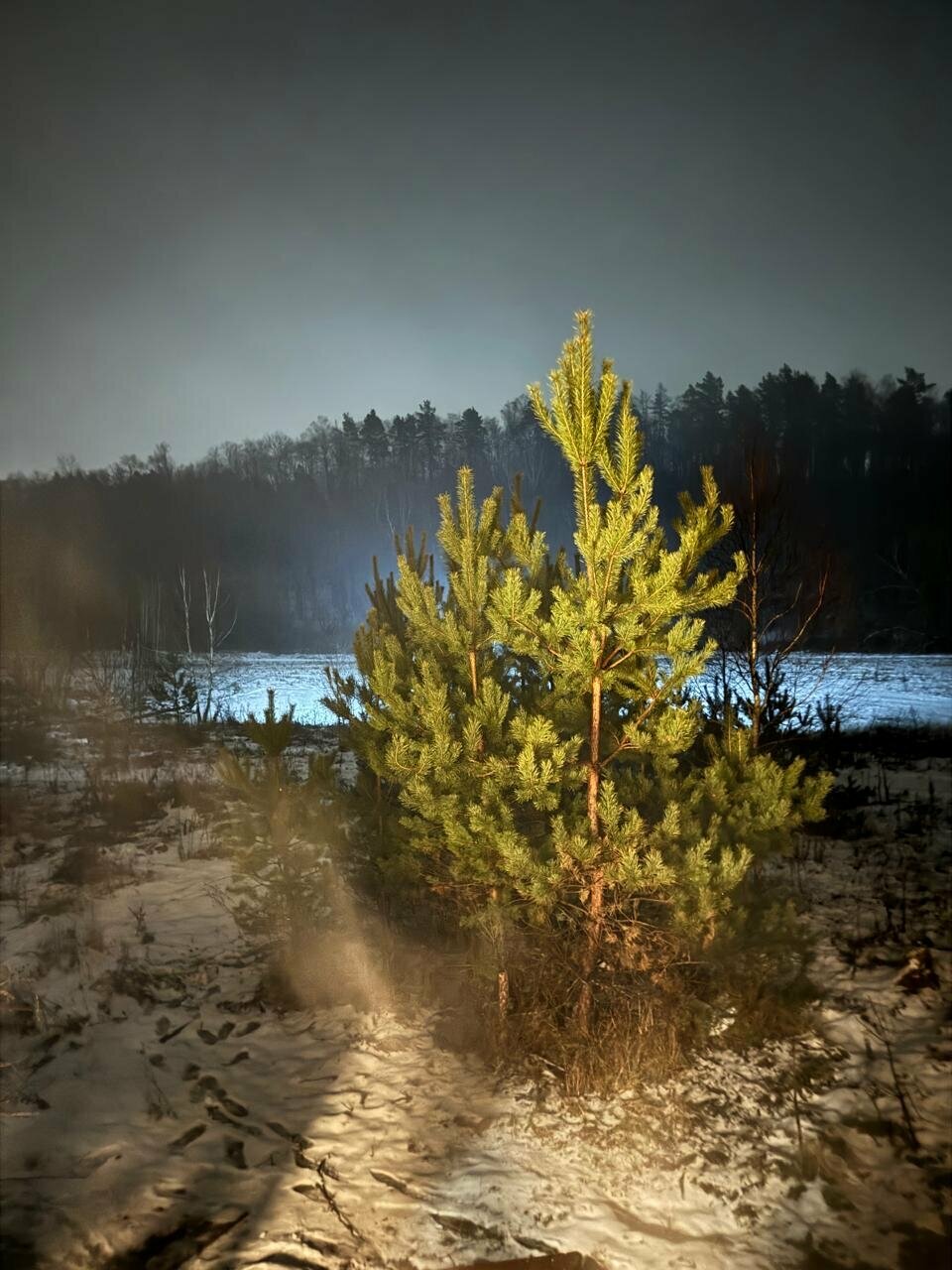 База отдыха Бобровый мыс Таруса-250