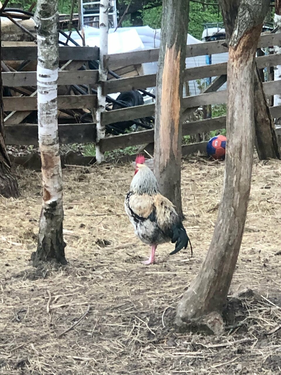 База отдыха Бобровый мыс Таруса-222