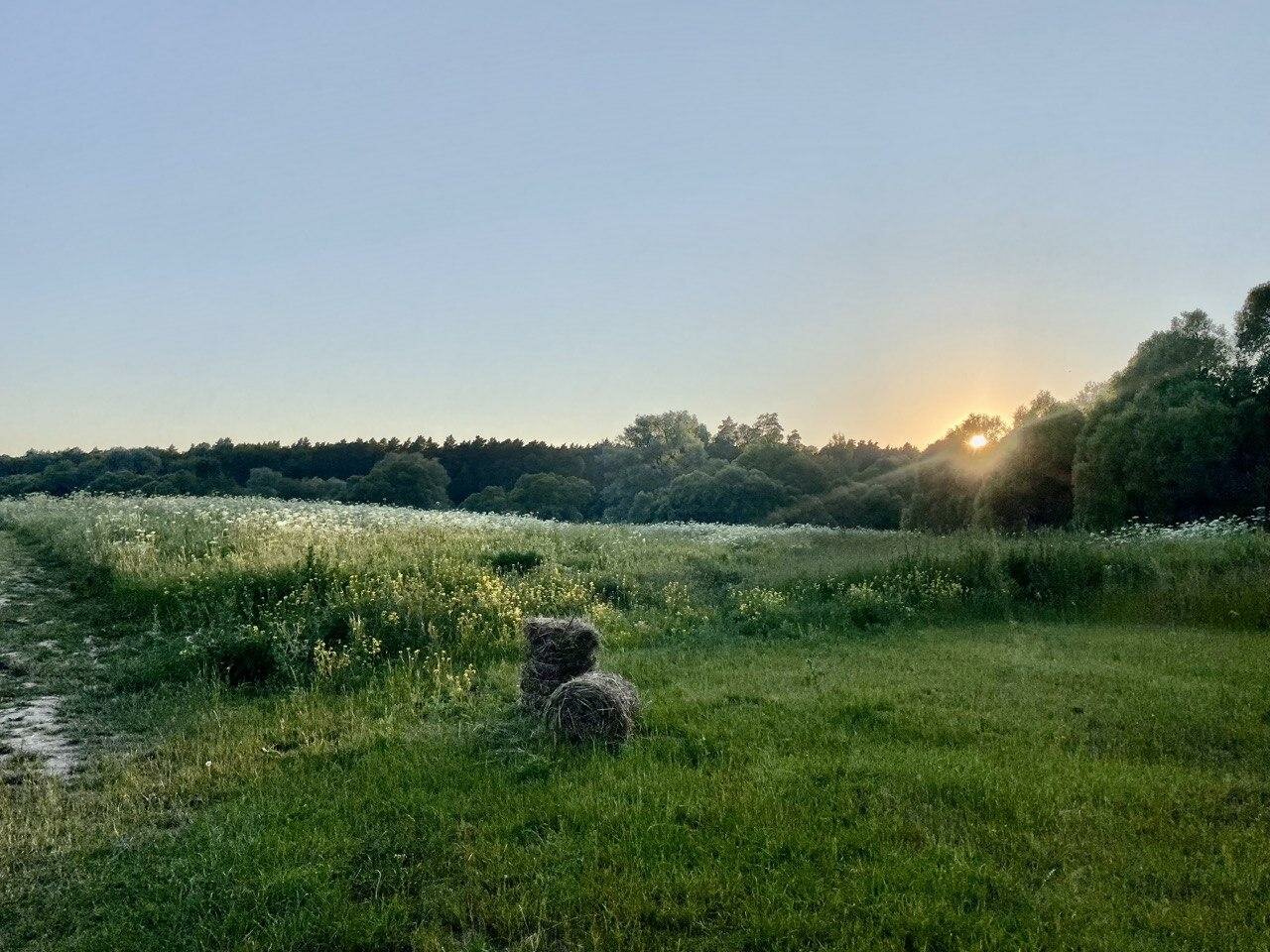База отдыха Бобровый мыс Таруса-149