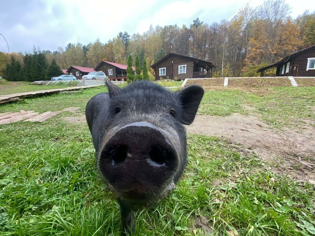 База отдыха Бобровый мыс Таруса-7