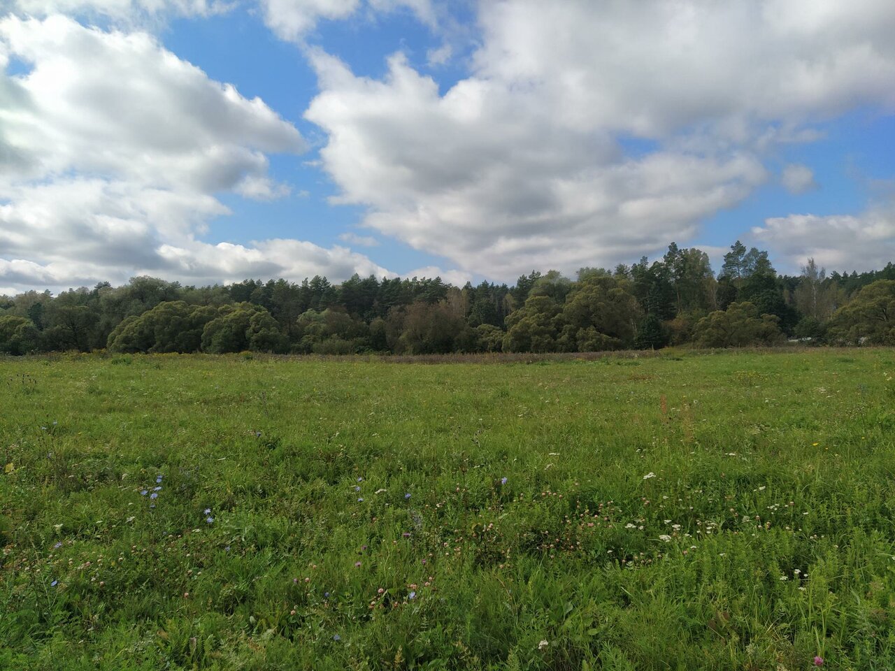 База отдыха Бобровый мыс Таруса-203