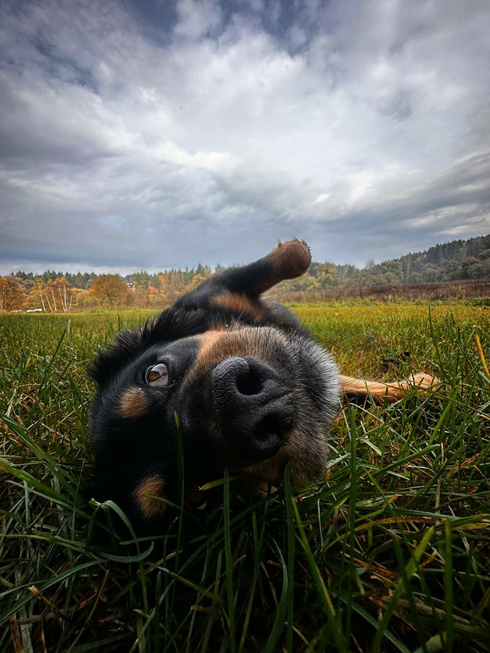 База отдыха Бобровый мыс Таруса-61