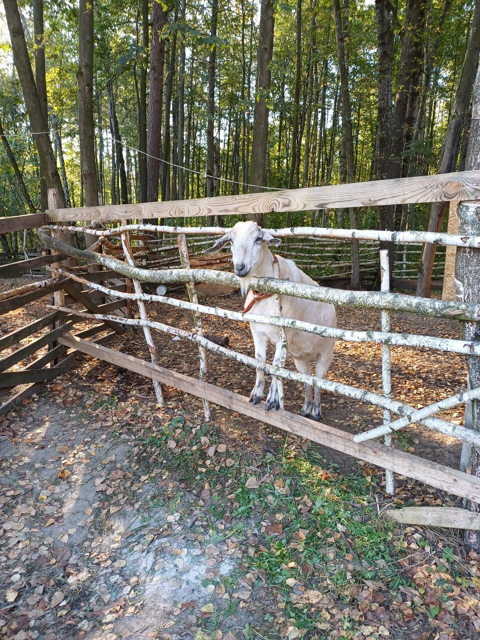 База отдыха Бобровый мыс Таруса-252