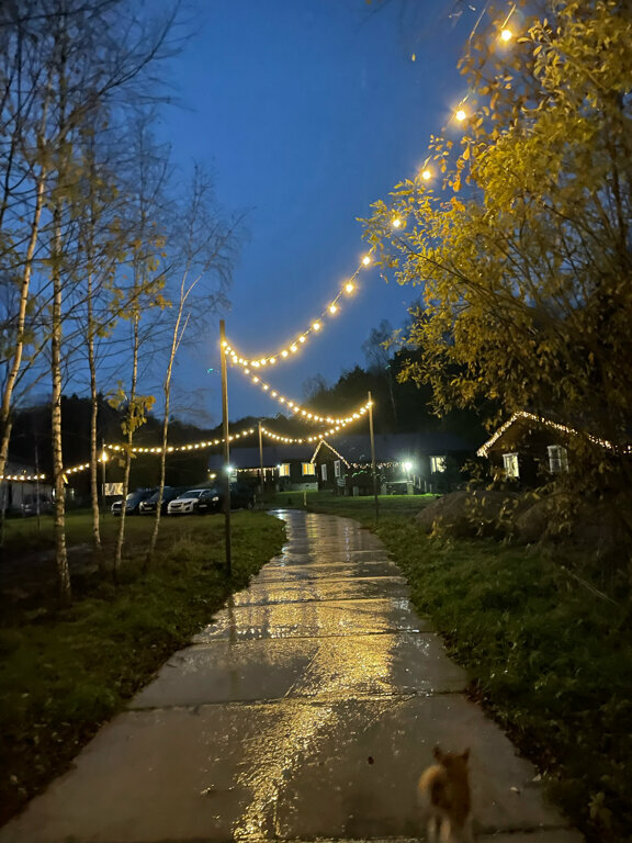 База отдыха Бобровый мыс Таруса-231