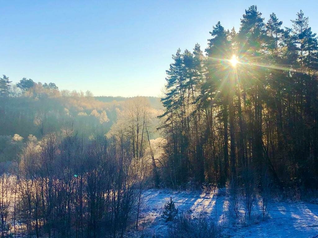 База отдыха Бобровый мыс Таруса-37