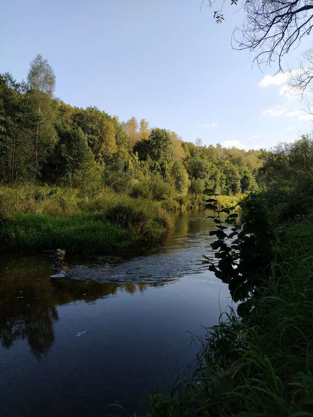 База отдыха Бобровый мыс Таруса-198