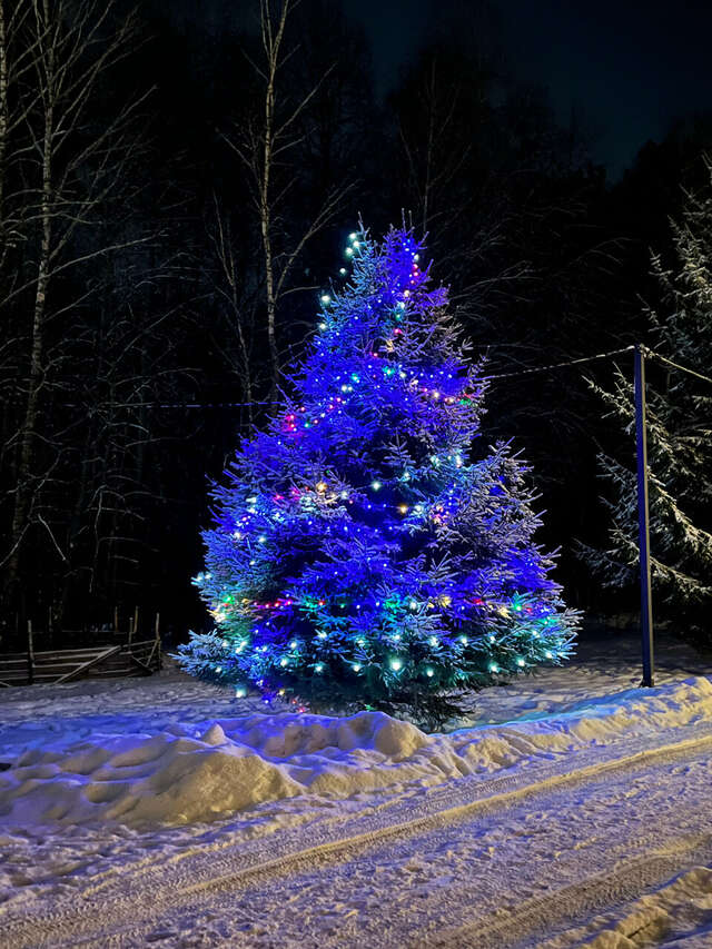 База отдыха Бобровый мыс Таруса-247