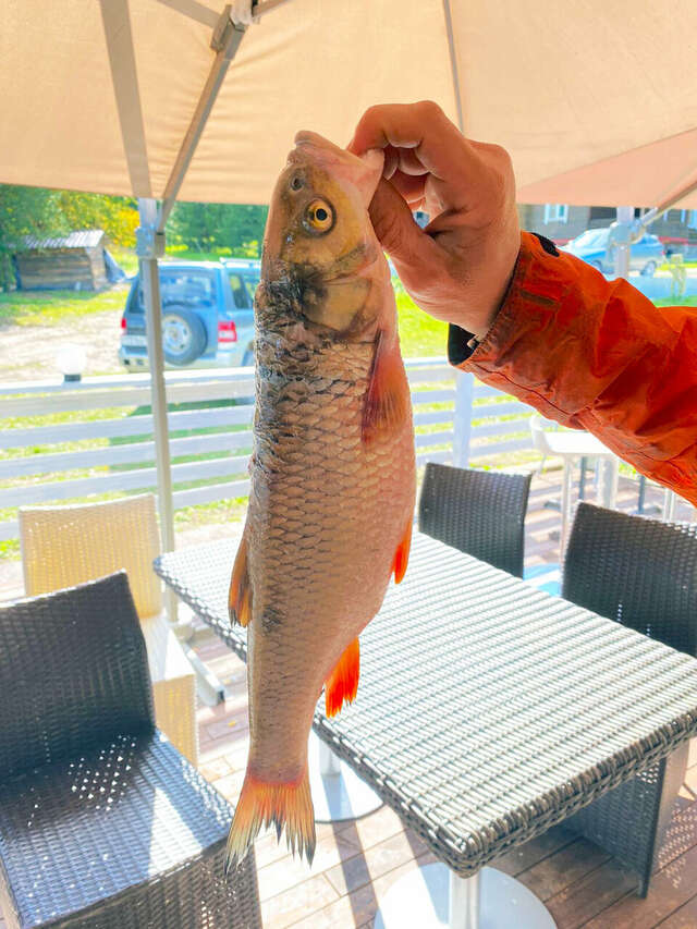 База отдыха Бобровый мыс Таруса-107