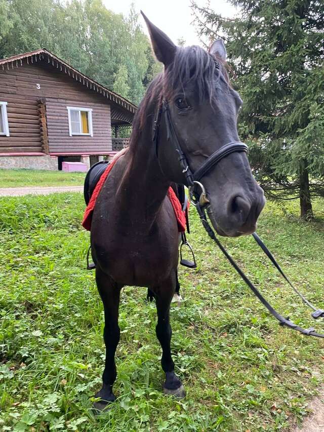 База отдыха Бобровый мыс Таруса-13