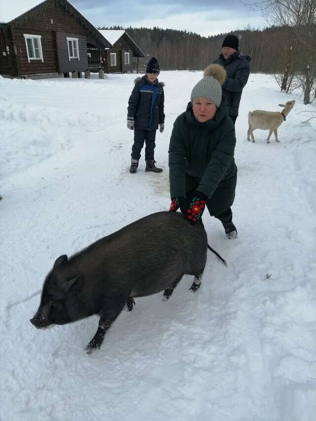 База отдыха Бобровый мыс Таруса-227