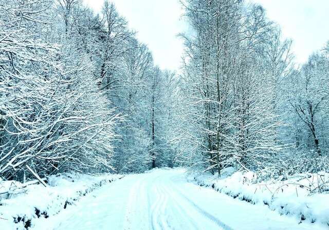 База отдыха Бобровый мыс Таруса-58