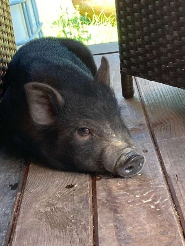 База отдыха Бобровый мыс Таруса-101