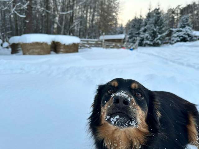 База отдыха Бобровый мыс Таруса-73