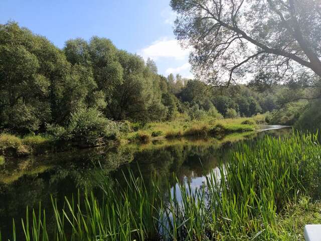 База отдыха Бобровый мыс Таруса-191