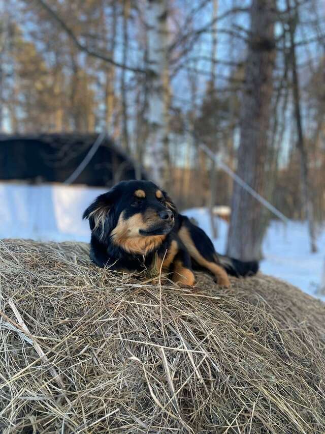 База отдыха Бобровый мыс Таруса-127