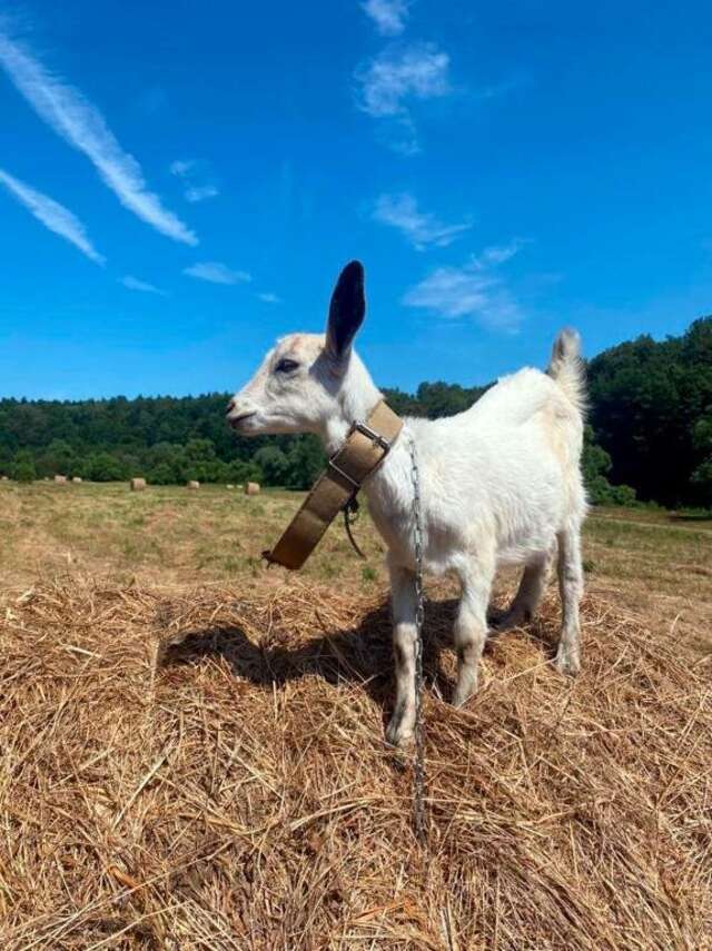 База отдыха Бобровый мыс Таруса-71