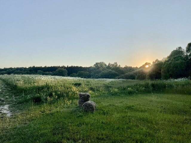 База отдыха Бобровый мыс Таруса-148