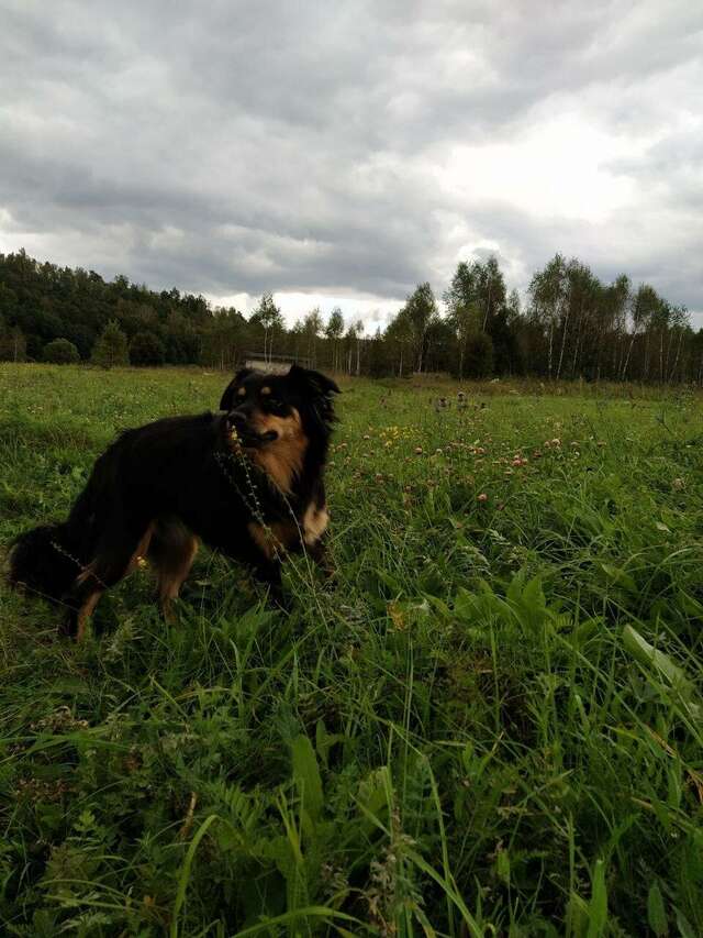 База отдыха Бобровый мыс Таруса-19