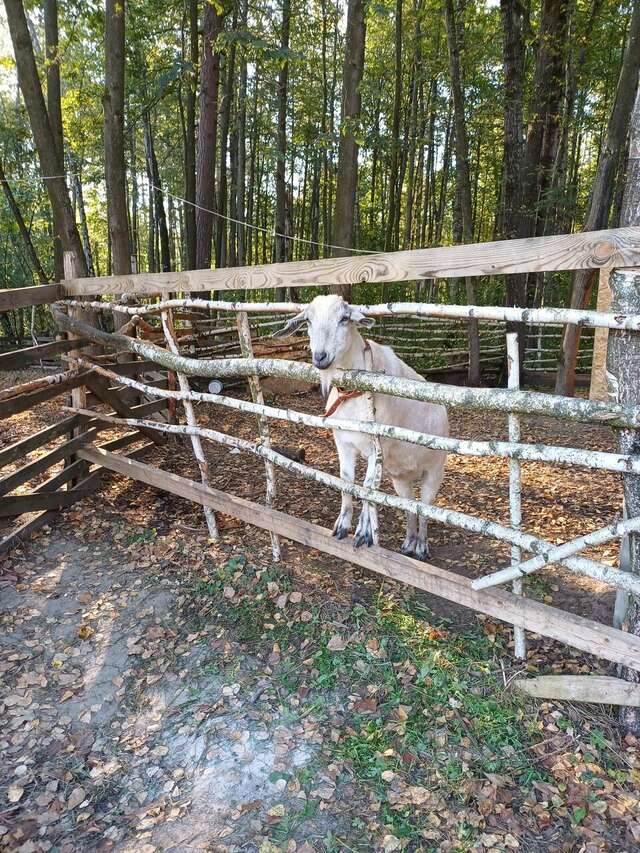 База отдыха Бобровый мыс Таруса-251