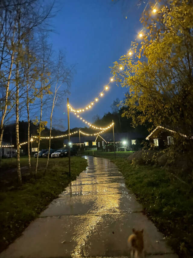 База отдыха Бобровый мыс Таруса-230