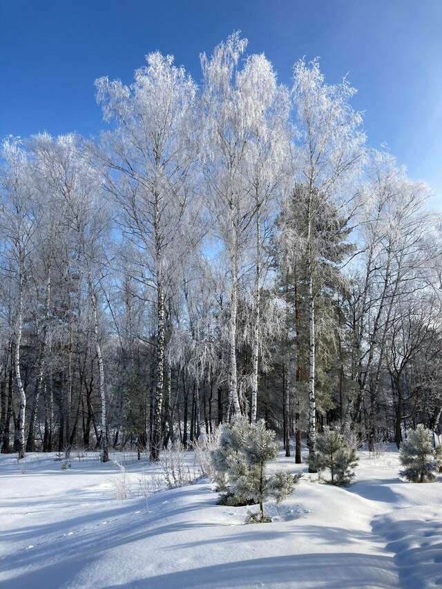 База отдыха Бобровый мыс Таруса-87